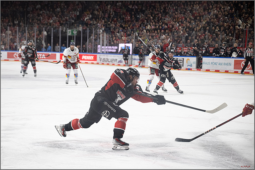 PENNY DEL 1; Kölner Haie - Düsseldorfer EG ; Köln, 16.02.2025